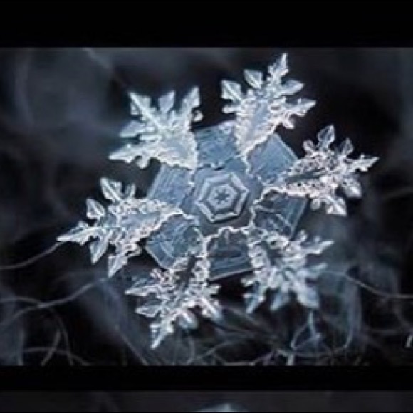 Meet your Posher, Mariam - Picture 1 of 1